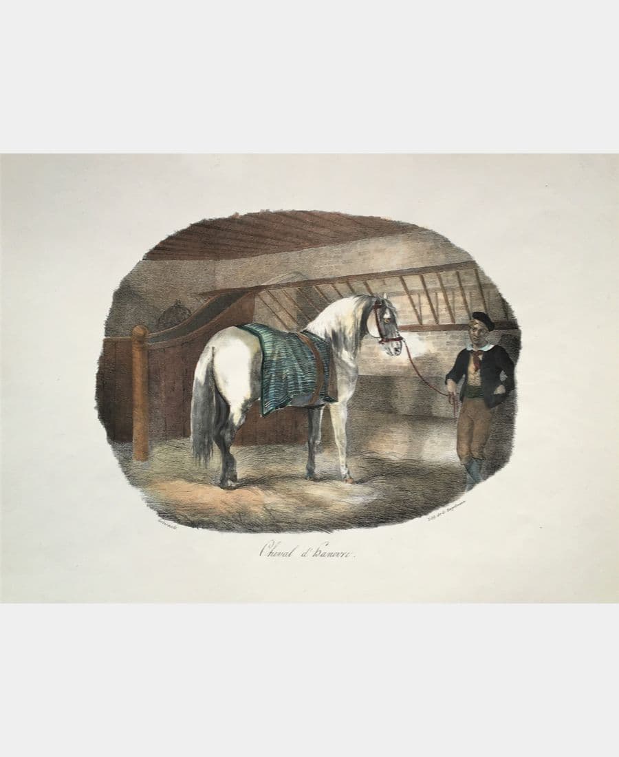 Cheval d'Hanovre