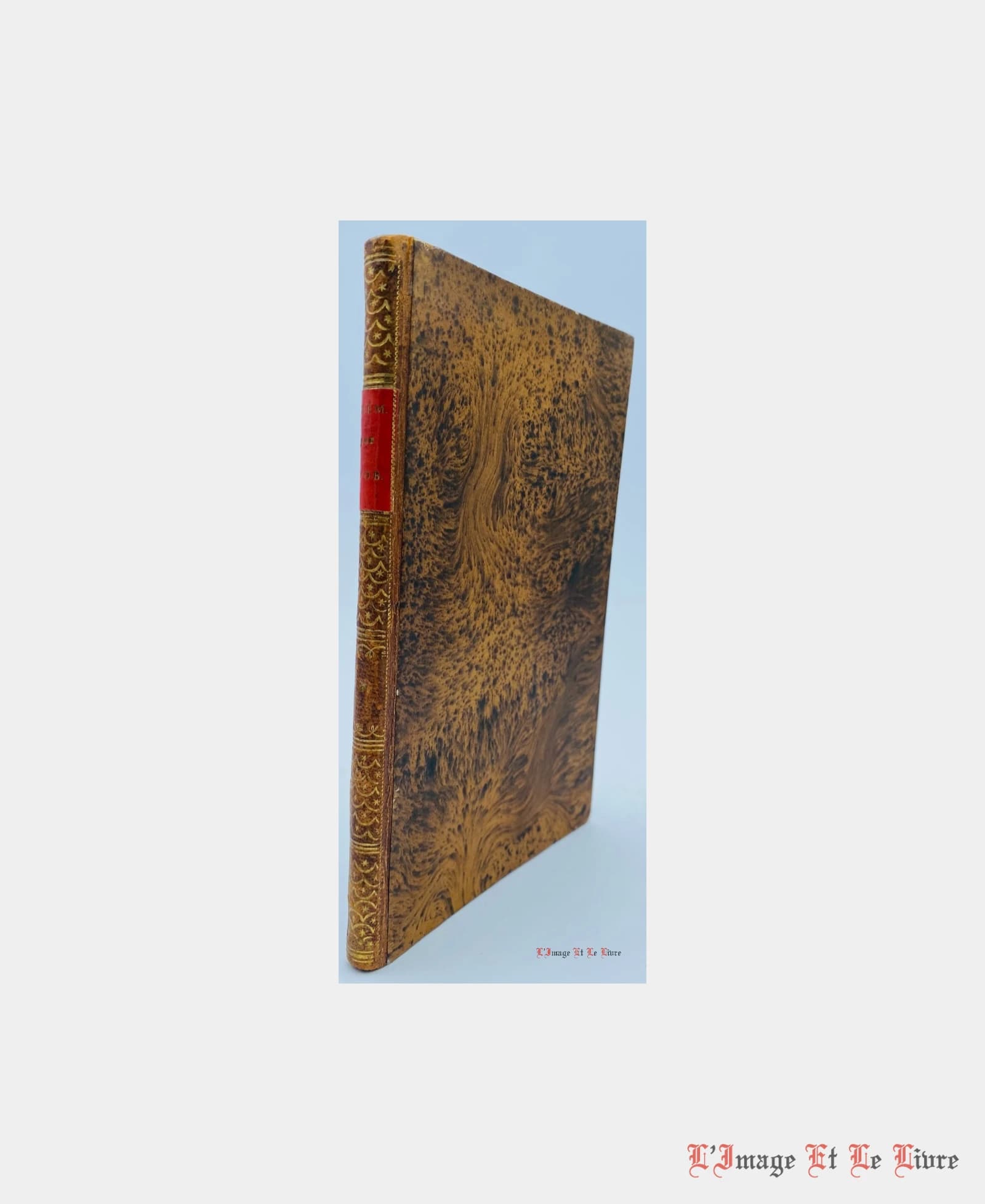 Mémoire d'Alexandre Magnus d'Obenheim