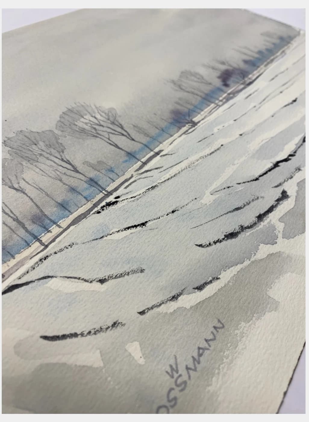 Paysage enneigé