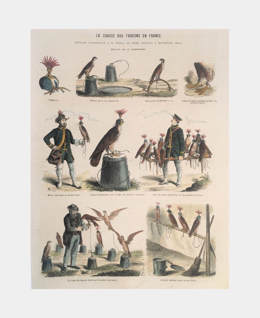 La Chasse aux faucons en France