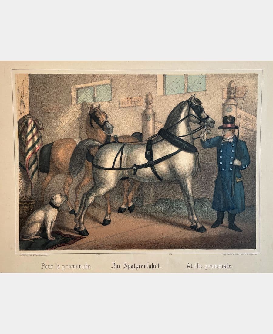 Pour la promenade.
