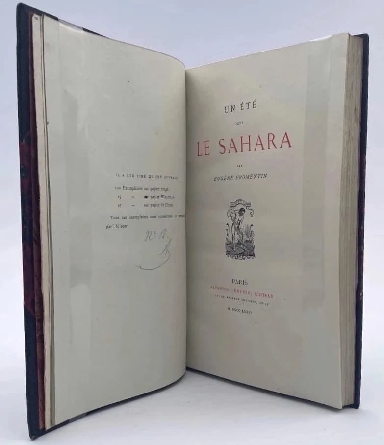 Un été dans le Sahara