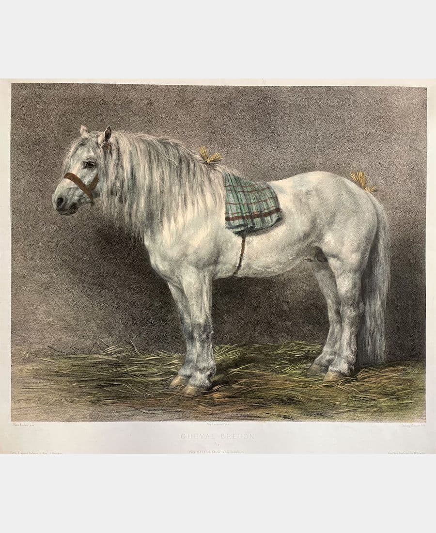 Cheval breton