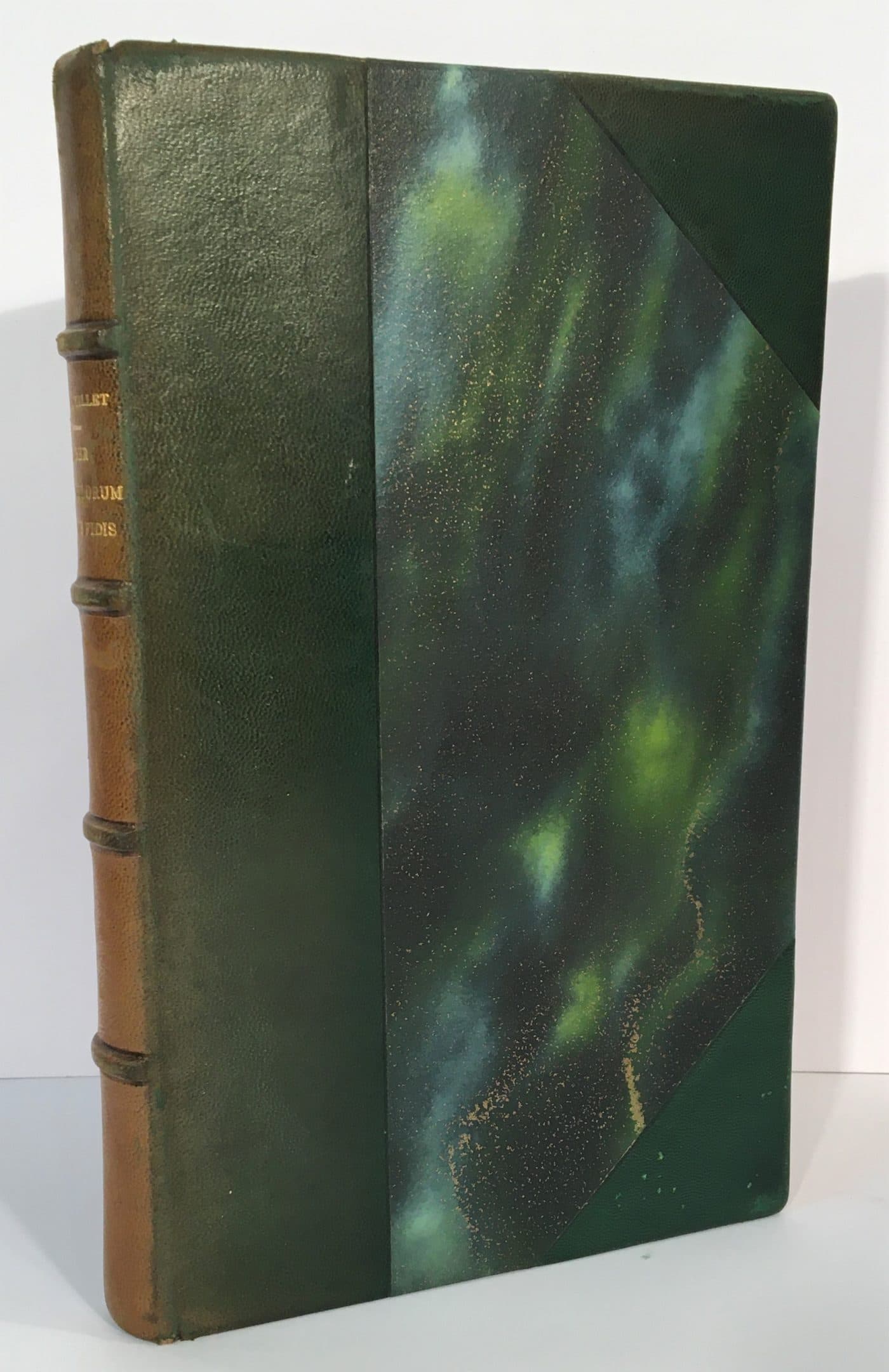 Liber Miraculorum Sancte Fidis publié d'après le manuscrit de la Bibliothèque de Schlestadt